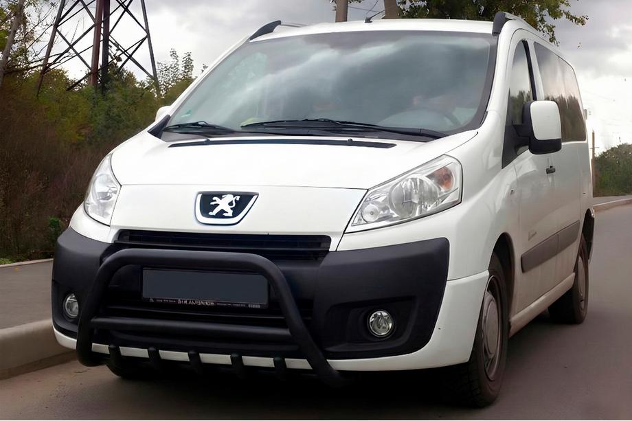 Citroen Jumpy 2007–2017 гг. Кенгурятник WT003 Black (нерж) Image
