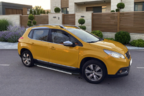 Peugeot 2008 2013-2019 гг. Боковые Подножки Duru (2 шт., Алюминий) фото 1