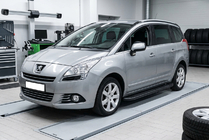 Peugeot 5008 2009-2016 гг. Боковые пороги Bosphorus Black (2 шт., алюминий) фото 1