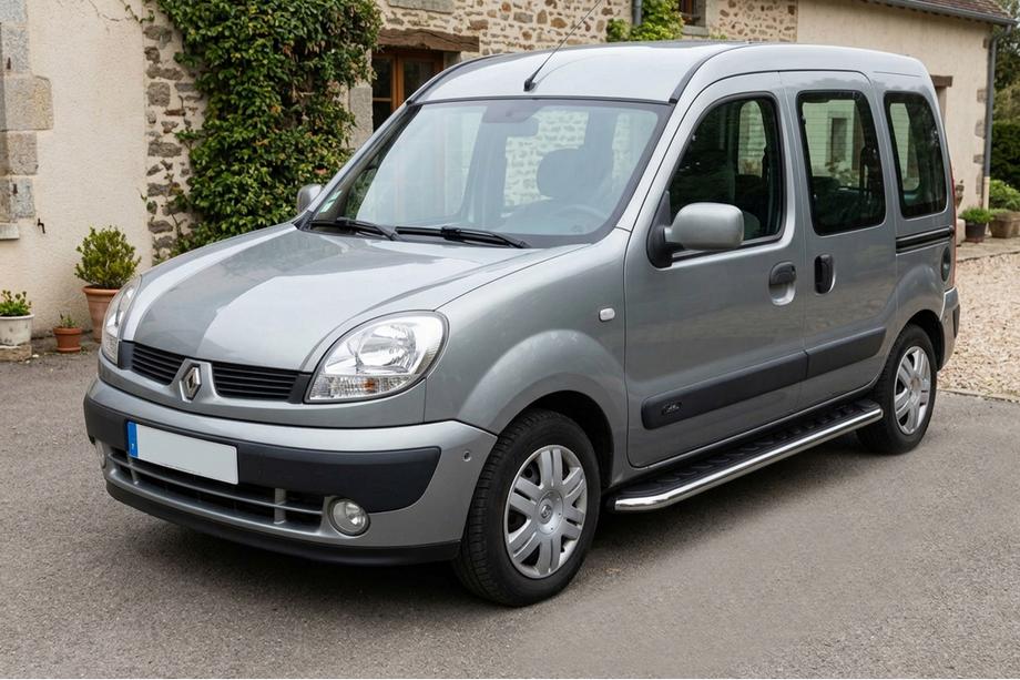 Renault Kangoo 1998-2008 гг. Боковые Подножки Maydos V1 (2 шт., Алюминий и Нержавейка) Image