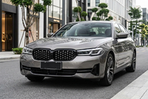BMW 5 серия G30/G31 2017–2023 гг. Ноздри Diamond Silver (2021-2023) фото 1