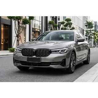 Ноздри Diamond Silver (2021-2023) BMW 5 серия G30/G31 2017–2023 гг. фото 1