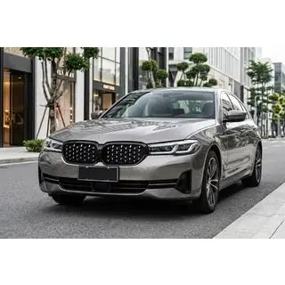 Ноздри Diamond Silver (2021-2023) фото 1