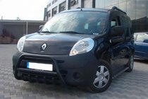 Mercedes Citan 2013-2021 гг. Кенгурятник WT003 Black (нерж) фото 2