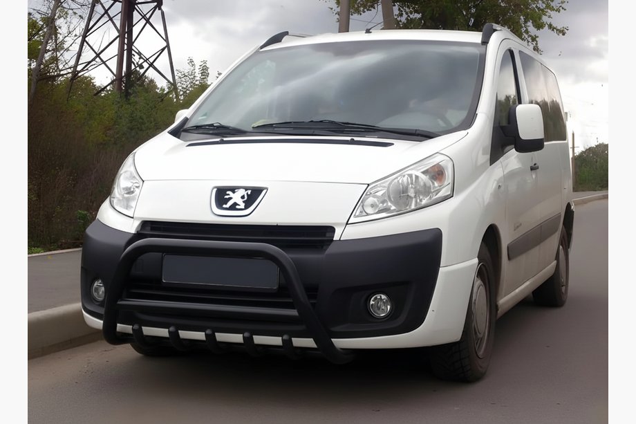 Fiat Scudo 2007-2015 гг. Кенгурятник WT003 Black (нерж) Image