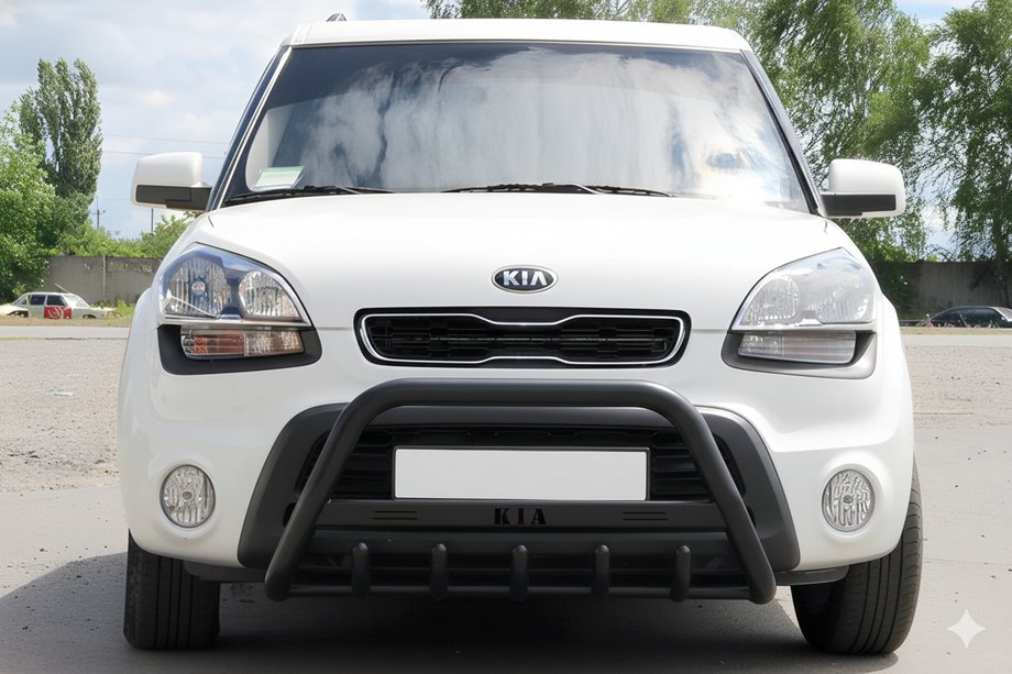 Kia Soul I 2008-2013 гг. Кенгурятник WT004 Black (нерж) Image
