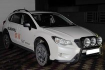 Subaru XV 2011-2017 гг. Кенгурятник WT018 Black (нерж.) фото 2
