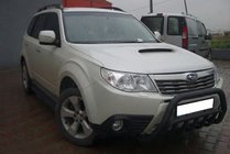 Subaru Forester 2008-2013 гг. Кенгурятник WT002 Black (нерж.) фото 2