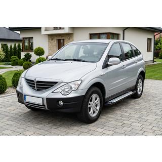 Боковые пороги Allmond Grey (2 шт., алюминий)