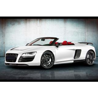 Комплект обвеса MNSR Carbon (для Spyder) фото 3