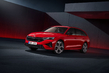Skoda Octavia Combi RS: Обзор спортивного универсала фото 2
