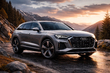 Audi Q9: автомобиль из будущего фото 1