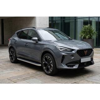 Боковые Подножки Tayga Grey (2 шт., Алюминий) Cupra Formentor 2020- гг. фото 1