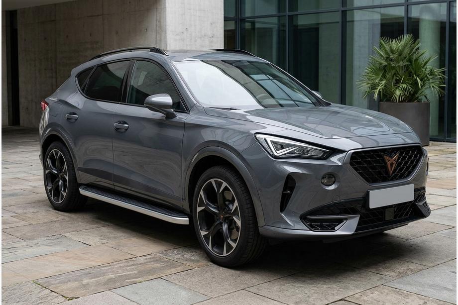 Cupra Formentor 2020- гг. Боковые Подножки Tayga Grey (2 шт., Алюминий) Фото 1