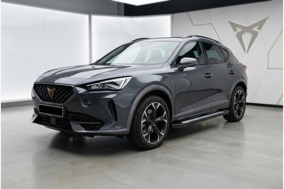 Cupra Formentor 2020- гг. Боковые пороги Tayga V2 (2 шт., Алюминий) Фото 1