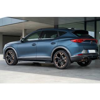 Боковые пороги Bosphorus Grey (2 шт., алюминий) Cupra Formentor 2020- гг. фото 1