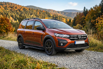 Dacia Jogger 2022- гг. Боковые Подножки Tayga Black (2 шт., Алюминий) фото 1
