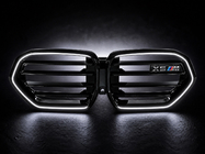 BMW X5 G05 2019–2026 гг. LED ноздри в стиле (Для X5M F95, 2023+) фото 1