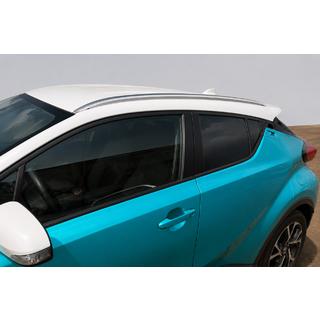 Интегрированные рейлинги серые OEM (ABS-пластик, установка на клей) фото 2