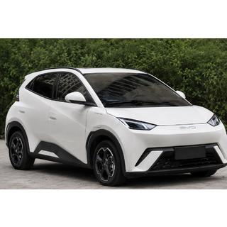 Чёрные рейлинги OEM (ABS-пластик, установка на клей) BYD Dolphin 2025– гг.