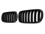 BMW X5 F15 2013-2018 гг. Ноздри 1 Bar (черный матовый) фото 3