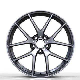 Кованые диски DH-Style V20 R24
