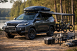 Что поставить на Toyota Fortuner после покупки: семья и природа фото 1
