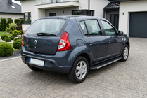 Renault Sandero 2007-2013 гг. Боковые Подножки Maya V1 (2 шт., Алюминий) фото 1