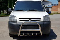 Peugeot Partner 1996-2008 гг. Кенгурятник WT003 (нержавейка) фото 4
