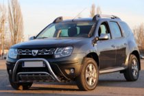 Renault Duster 2008–2017 гг. Кенгурятник WT002 (Нержавейка) фото 4