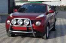 Nissan Juke 2010-2019 гг. Защита переднего бампера WT018 (нержавейка) фото 2