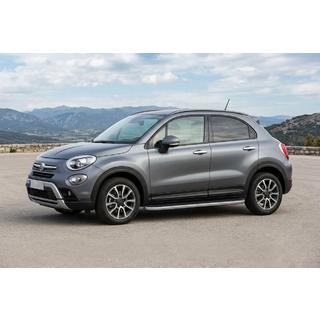 Боковые Подножки Tayga Grey (2 шт., Алюминий) фото 1