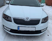Skoda Octavia III A7 2013-2019 гг. Зимняя накладка на решетку радиатора (2013-2017) глянцевый фото 2