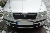 Skoda Octavia II A5 2006-2010 гг. Зимняя накладка на решетку радиатора (верхняя) фото 1