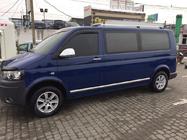 Volkswagen T5 Multivan 2003–2010 гг. Молдинги на двери Нержавейка Хром фото 3