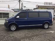 Volkswagen T5 2010-2015 гг. Молдинги на двери Нержавейка Хром фото 4