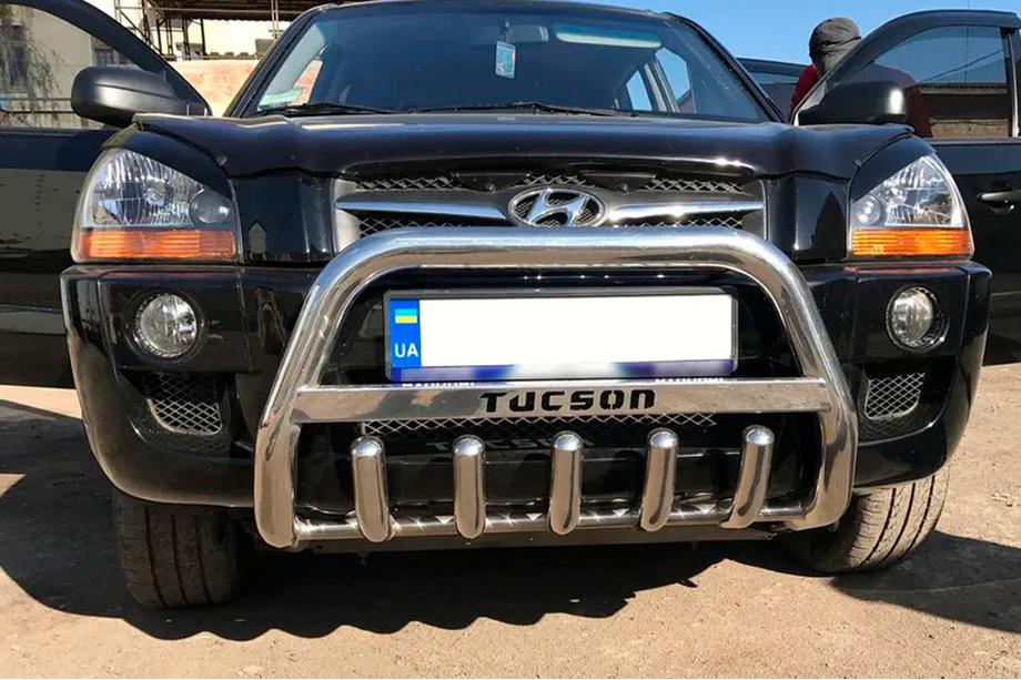 Hyundai Tucson JM 2004- гг. Кенгурятник WT004 (нержавейка) Image