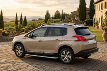 Peugeot 3008 2008-2016 гг. Боковые Подножки Tayga Grey (2 шт., Алюминий) фото 1