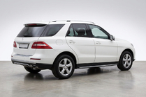 Mercedes GLE/ML class W166 2011-2018 гг. Боковые Подножки Duru (2 шт., Алюминий) фото 1