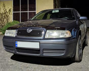 Skoda Octavia I Tour A4 1996-2010 гг. Зимняя решетка (верхняя) фото 3