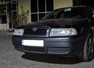 Skoda Octavia I Tour A4 1996-2010 гг. Зимняя решетка (верхняя) фото 4