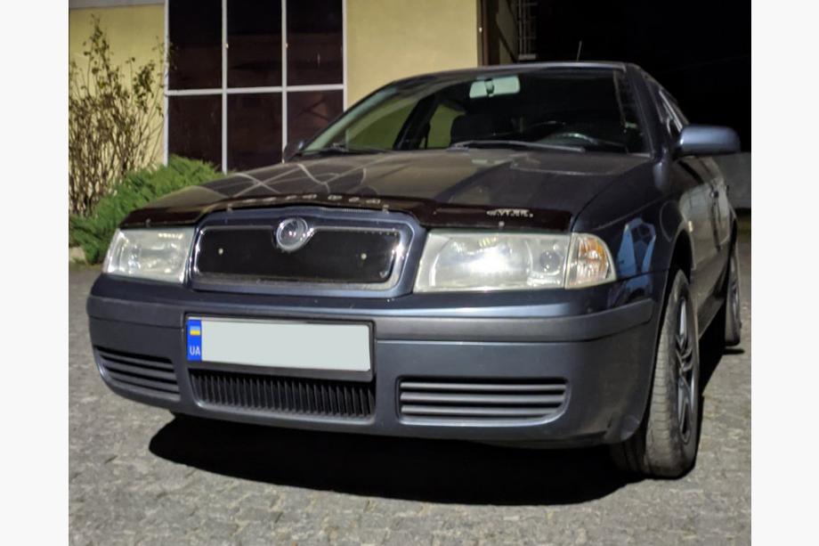 Skoda Octavia I Tour A4 1996-2010 гг. Зимняя решетка (верхняя) Матовый Фото 3