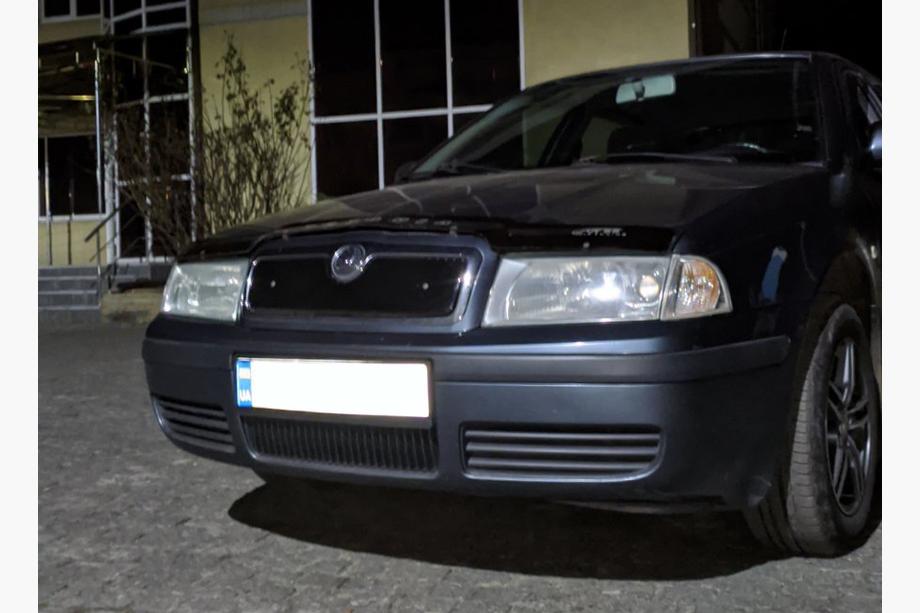 Skoda Octavia I Tour A4 1996-2010 гг. Зимняя решетка (верхняя) Матовый Фото 4