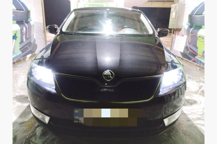 Skoda Rapid 2012-2019 гг. Зимняя решетка (верхняя) Матовый Image
