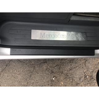Накладки на пороги DDU матовые (2шт, пластик) Mercedes Viano 2004-2014 гг. фото 2