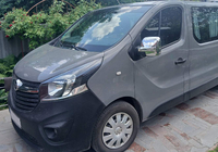 Opel Vivaro 2015-2019 гг. Накладки на Зеркала (2 шт., пластик) фото 9