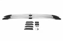 Renault Scenic/Grand 2003-2009 гг. Хромированные Рейлинги (2 шт) фото 11