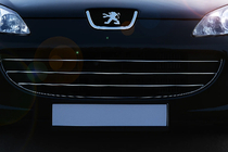 Peugeot 407 2004-2011 гг. Хром Накладки на Решетку (3 шт, Нержавейка) фото 1