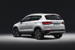 Первый обзор кроссовера Seat Ateca фото 5