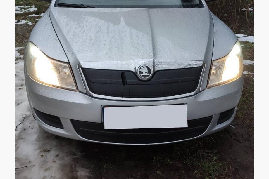 Skoda Octavia II A5 2010-2013 гг. Зимняя накладка на решетку (нижняя) Матовый Фото 2